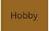 Hobby